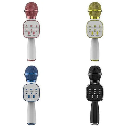 Microfon Wireless Karaoke MRG MDS813