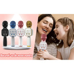 Microfon Wireless Karaoke MRG MDS813