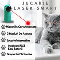 Laser Pisica Automat