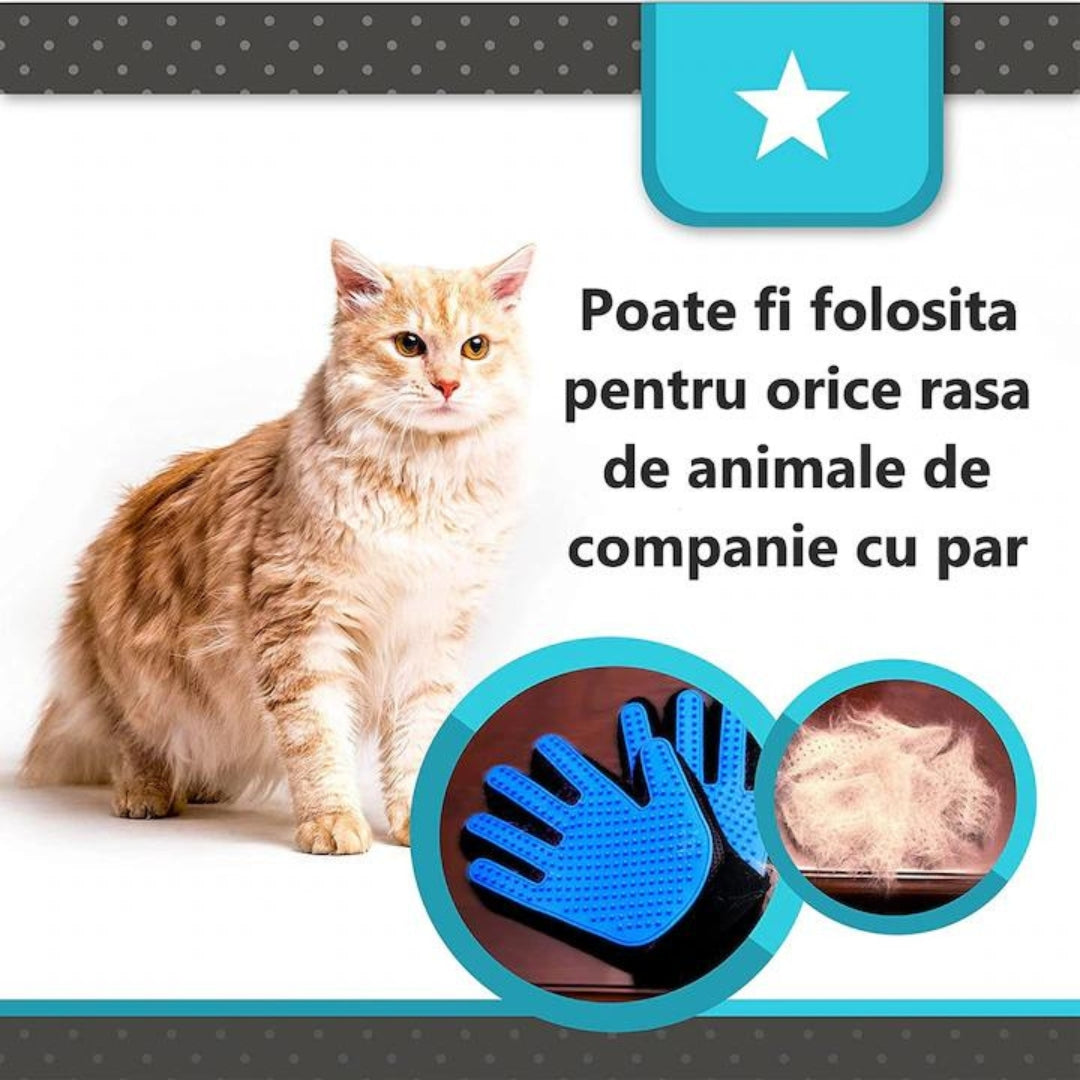 Manusa pentru par de animale, cu zimti, curata si maseaza in acelasi timp