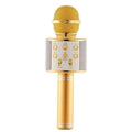 Microfon karaoke SIKS profesional cu boxa inclusa, SD Card, USB, AUX, Gold