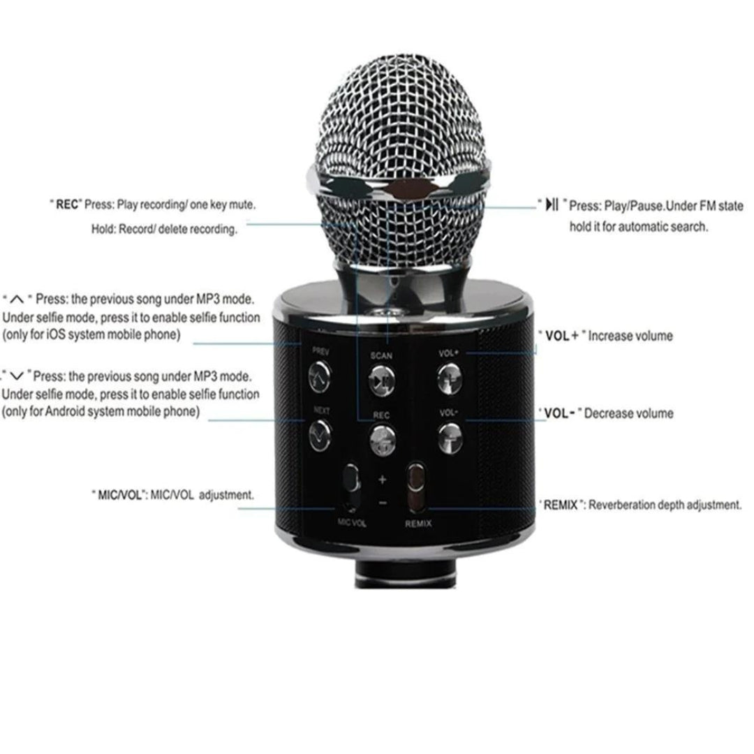 Microfon karaoke SIKS profesional cu boxa inclusa, SD Card, USB, AUX, Gold