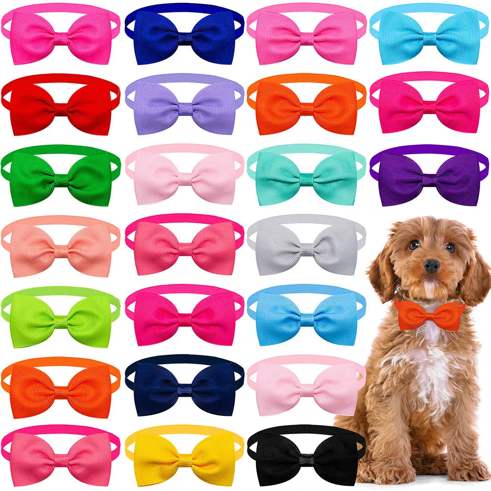 Papion pentru câini, multicolor