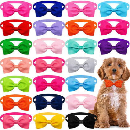 Papion pentru câini, multicolor