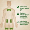 Set 60 plasturi anti durere, lombar si genunchi
